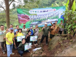 Ribuan Pohon Ditanam Mitigasi Tanah Gerak