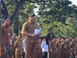 Transformasi Digital Sidoarjo