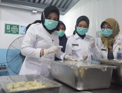 Mimik Idayana Tinjau