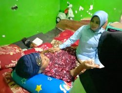 bantuan kursi roda
