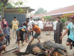Idul Adha Pasuruan