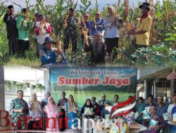 Upaya Memperkuat Semangat Petani Wujudkan Ketahanan Pangan, Babinsa Suwayuwo Kawal Pembagian Bibit Jagung