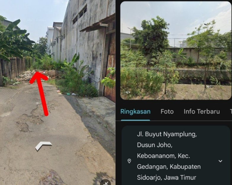 Dugaan judi sabung
