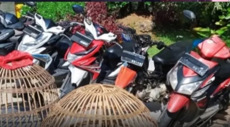 Taruhan Rp500 Ribu