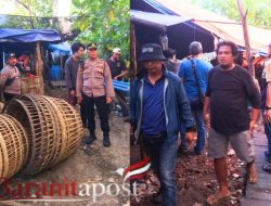 Siang Ramai, Sore Digrebek! Polisi Bongkar Arena Sabung Ayam di Gedangam Sidoarjo