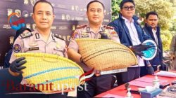 Taruhan Rp500 Ribu Per Laga Terbongkar, Puluhan Orang Kabur!