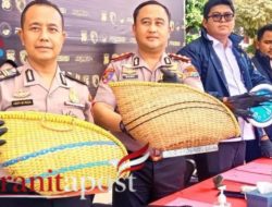 Taruhan Rp500 Ribu Per Laga Terbongkar, Puluhan Orang Kabur!