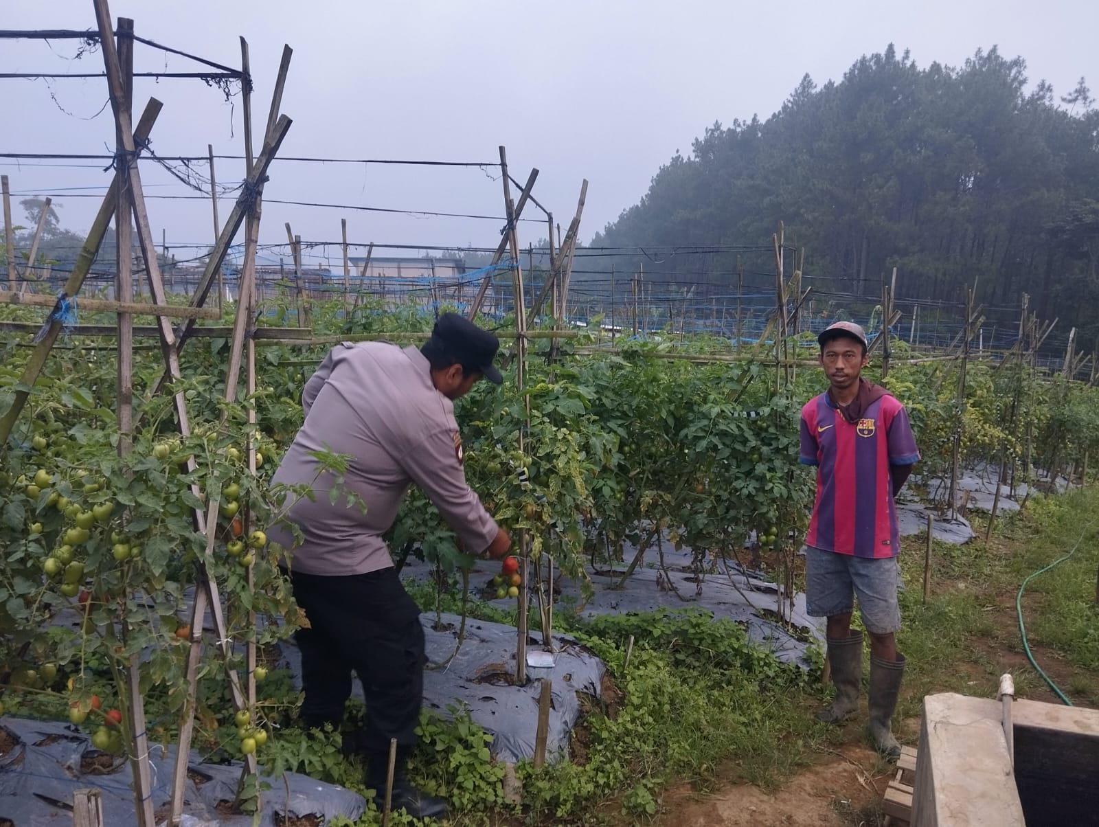Polisi Dampingi Petani