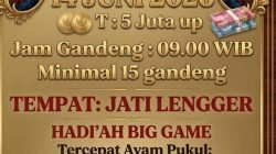 Kontes Ayam Bangkok Blitar Hadiah Sapi Melimpah, Warga Minta Aparat Turun Tangan!