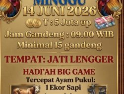 Kontes Ayam Bangkok Blitar Hadiah Sapi Melimpah, Warga Minta Aparat Turun Tangan!