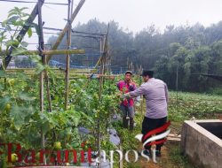 Ketahanan Pangan Pasuruan, Polisi Dampingi Warga Bertani