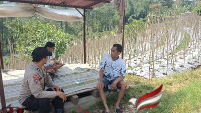 Pekarangan Pangan Bergizi