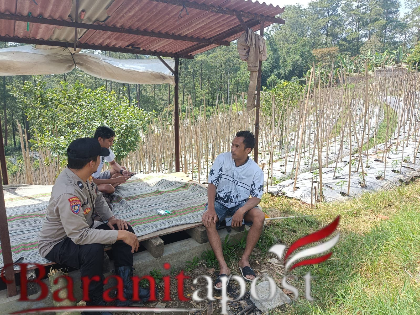 Pekarangan Pangan Bergizi