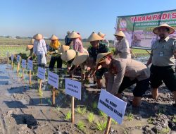 Beji Perkuat Swasembada