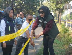 644 pohon pucuk merah
