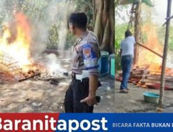 TERBONGKAR! Lokasi Judi Sabung Ayam di Belakang Musala Dibakar Polisi