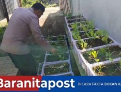Lahan P2L Polsek Rembang Jadi Contoh Ketahanan Pangan