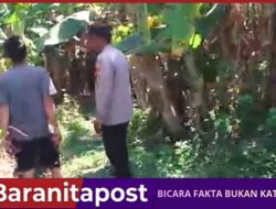 Bukan Razia, Polisi Justru Masuk Kebun Pisang Warga