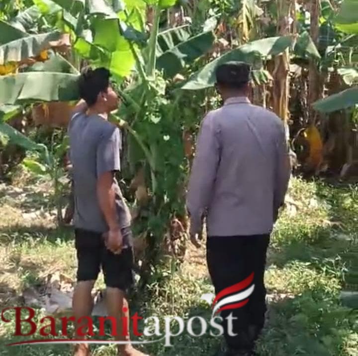 Bukan Razia Polisi