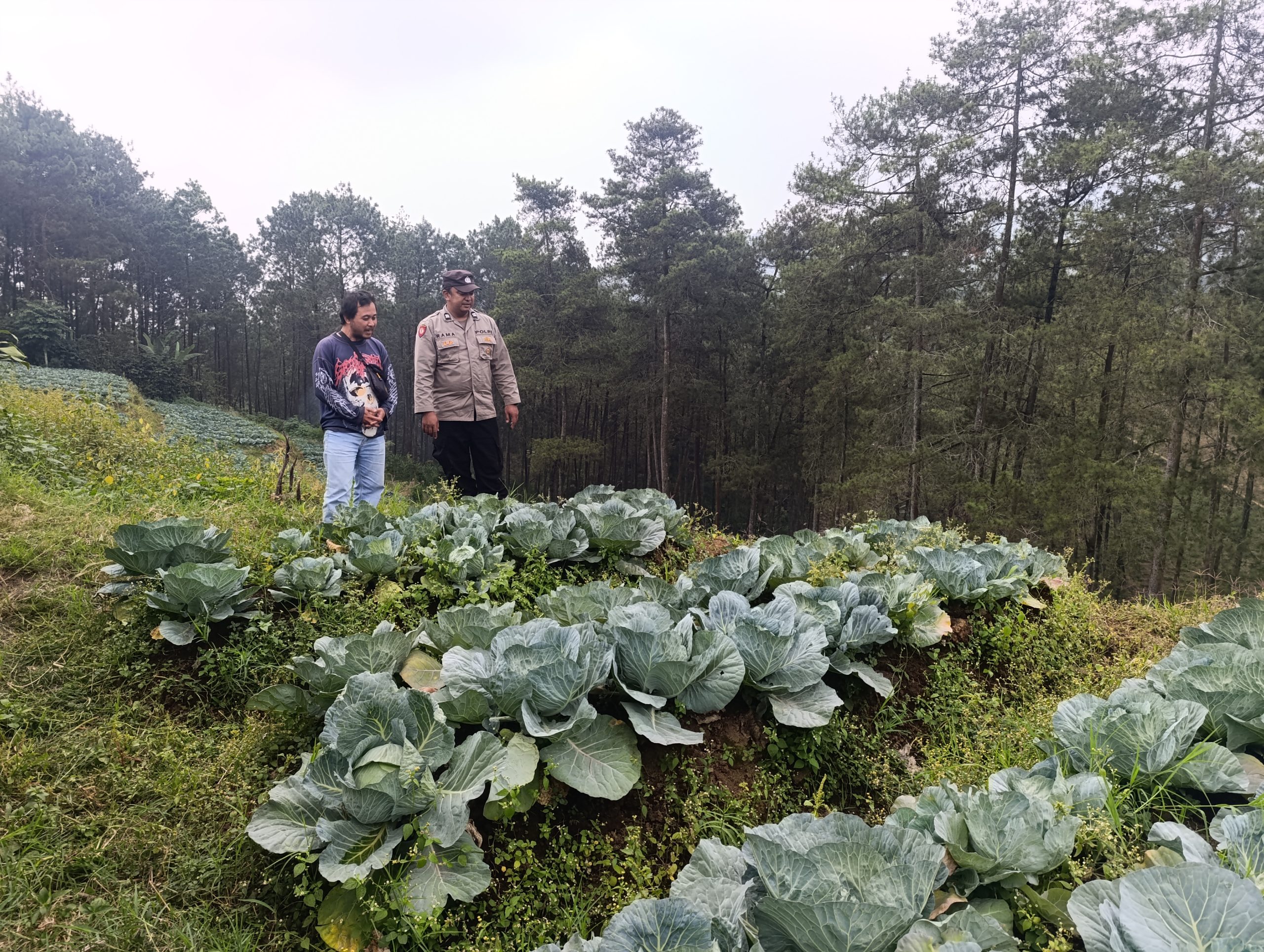 Akktivitas Bhabinkamtibmas Monitoring