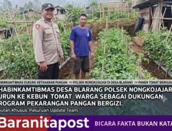 Bhabinkamtibmas Desa Blarang Dukung Pekarangan Bergizi