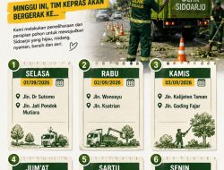 Pohon Berisiko Tumbang