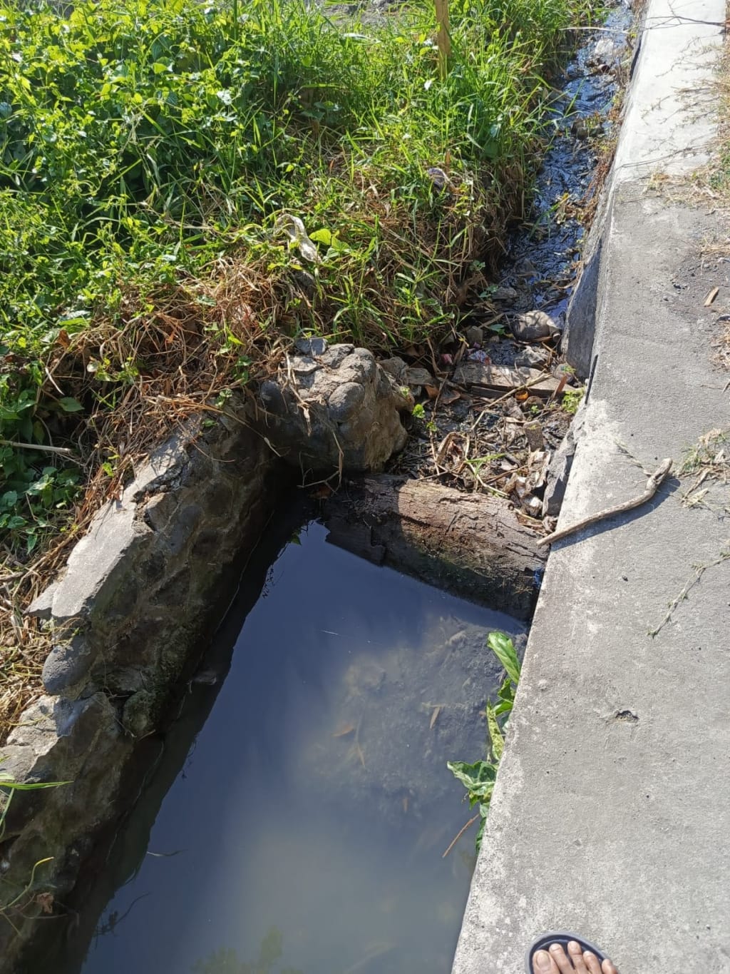 Saluran Irigasi Diduga Ditutup, Petani Mojoparon Khawatir Banjir