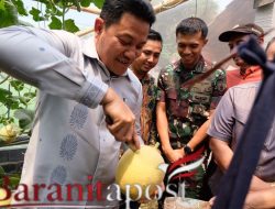Bupati Subandi Buka Wisata Petik Melon Candi Negoro