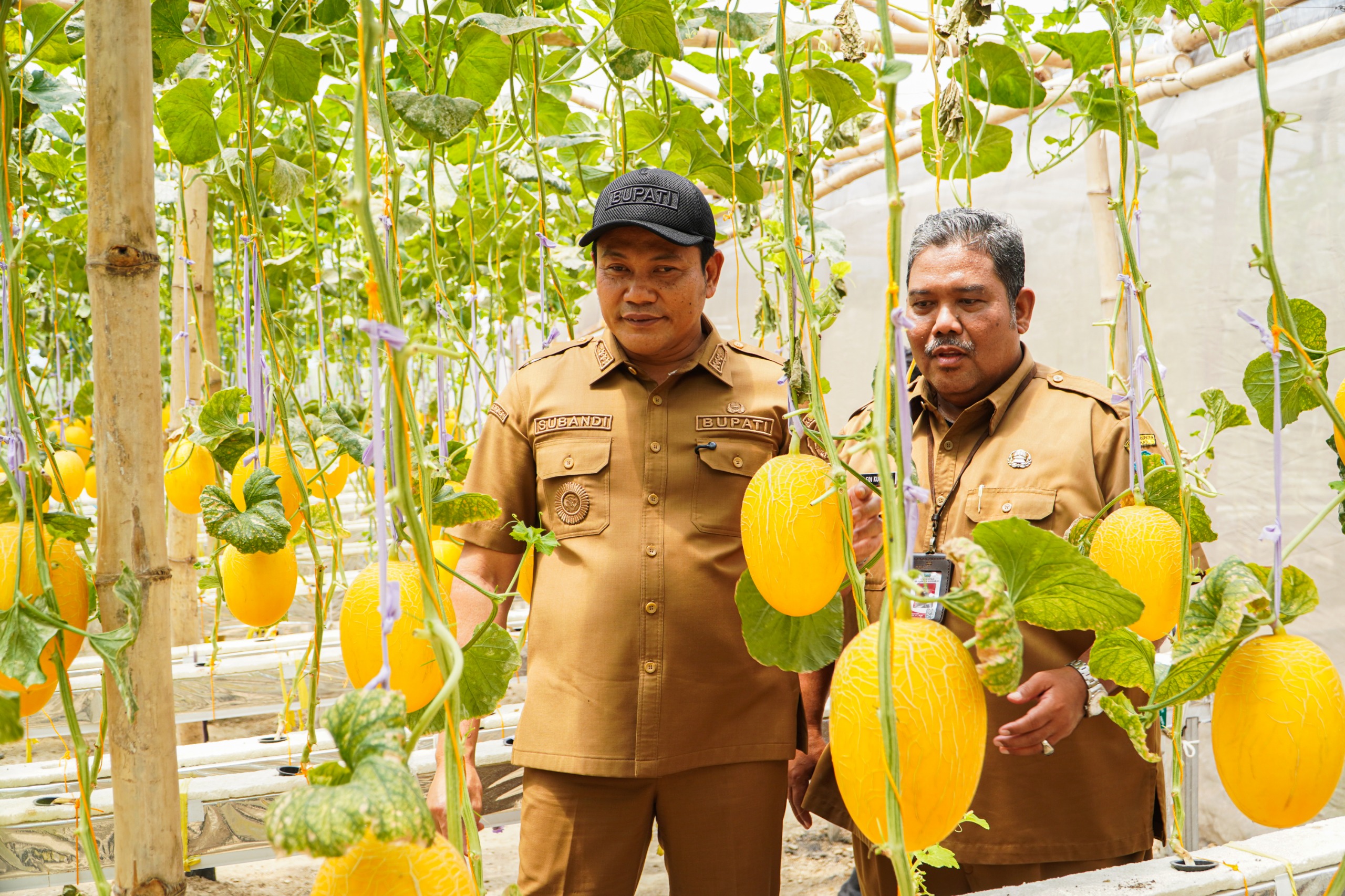 Bupati Subandi Resmikan